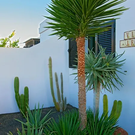 Jesus Lanzarote-papagayo *